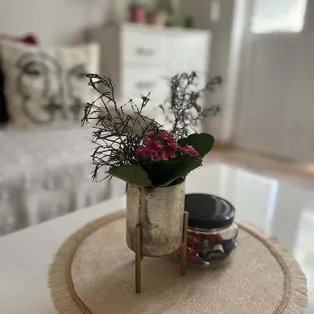 Michelle * Дубровник