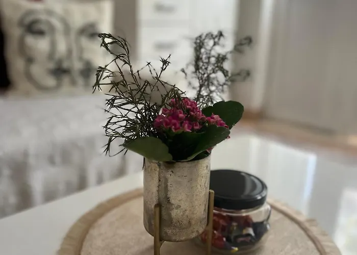 Michelle * Дубровник